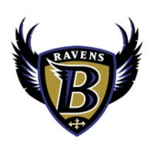 Baltimore Ravens Hawaiian Shirt
