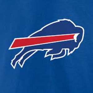 Buffalo Bills Hawaiian Shirt