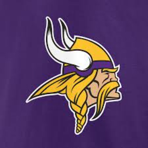 Minnesota Vikings Hawaiian Shirt